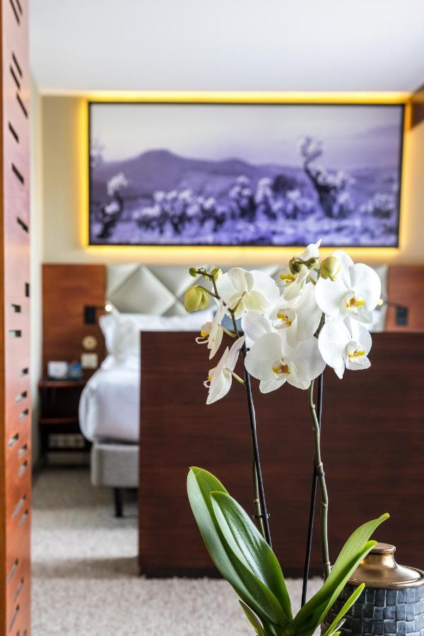 Hotel Thalazur Ile Rousse - & Bandol
